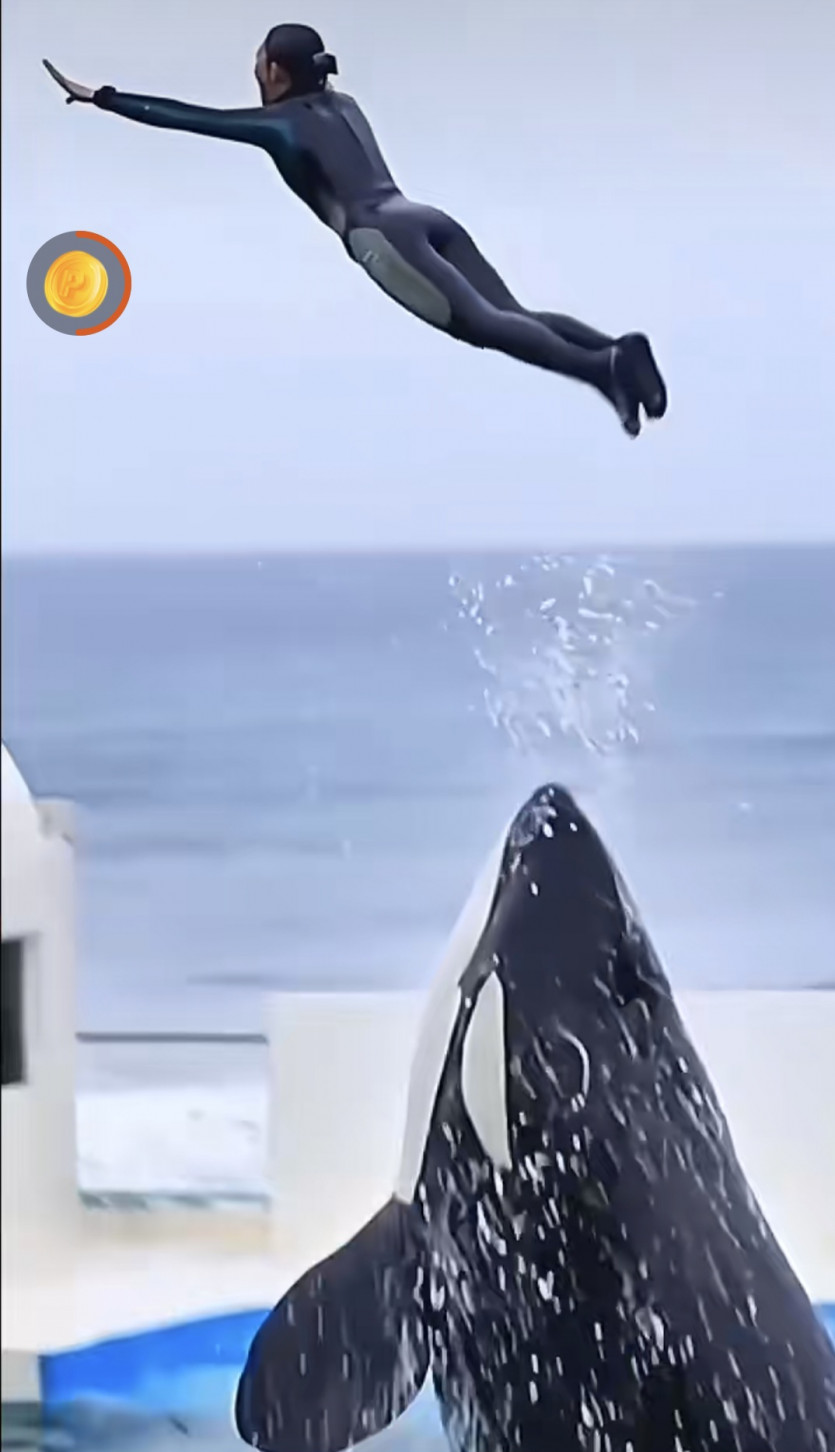 나이스 버닝이 가주아 ㅎ