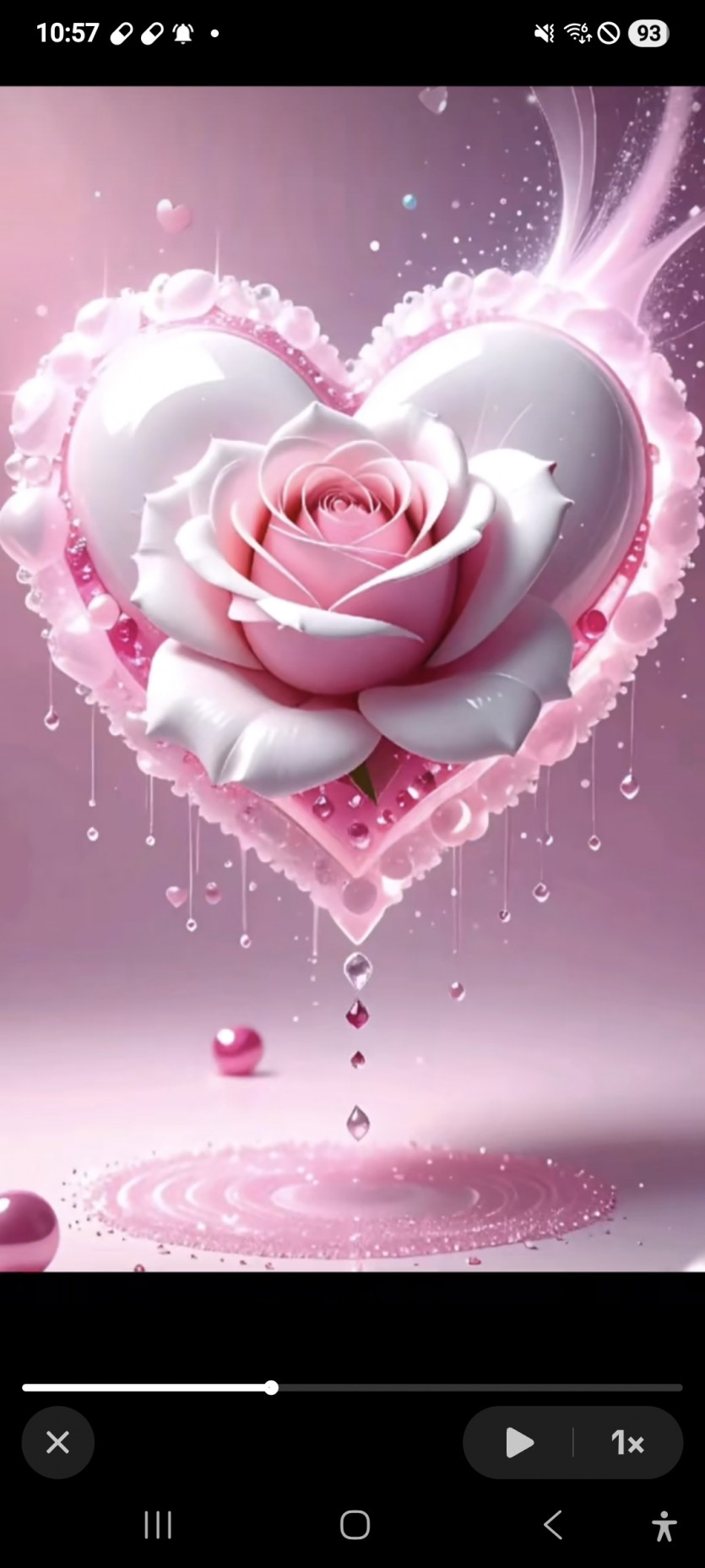 나이스 버닝이 ㅎ