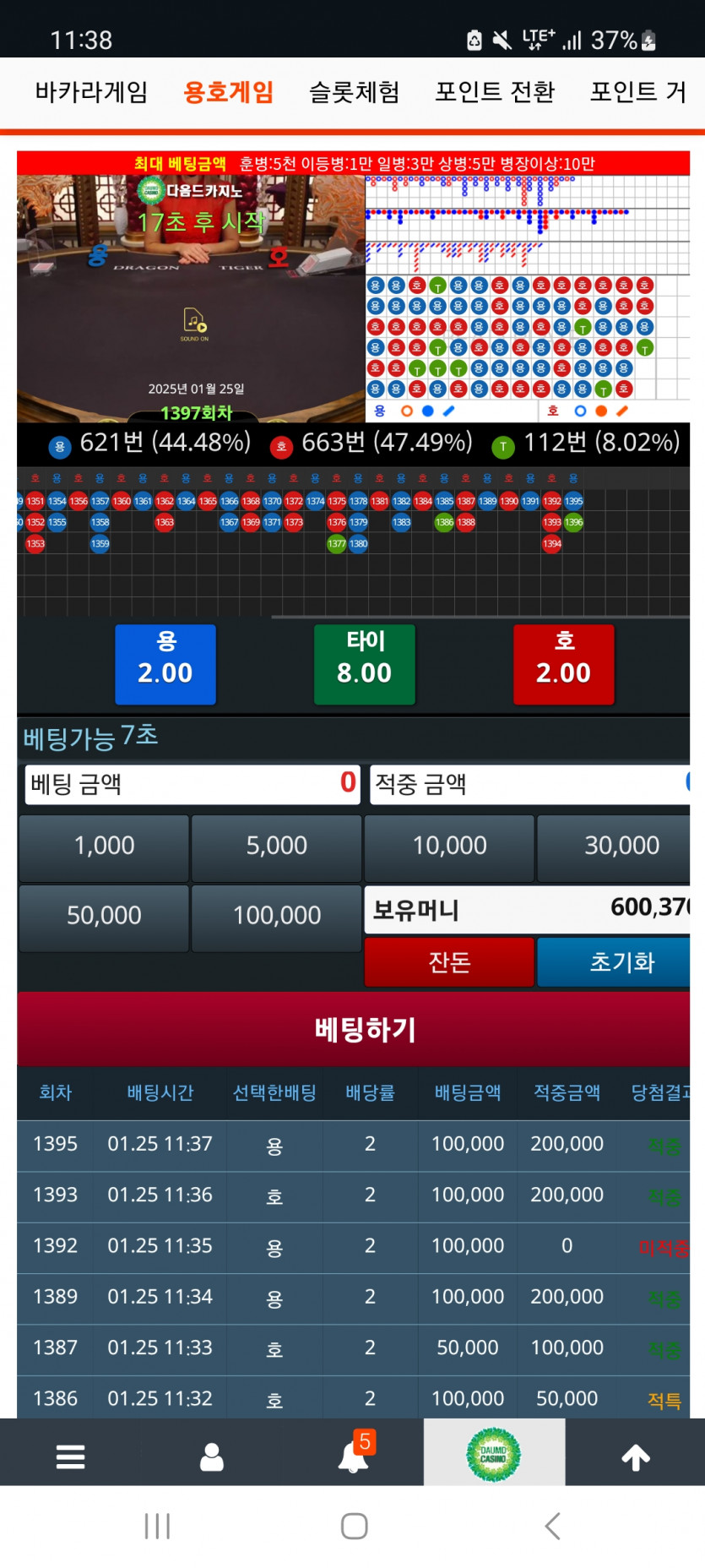 점심 용호는요..