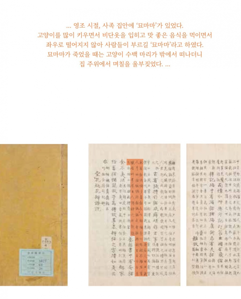 조선시대에도 존재했던 캣맘...jpg