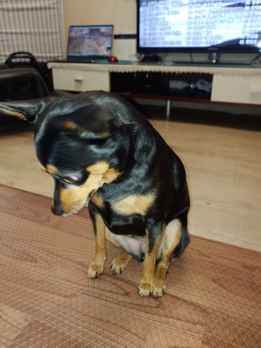 이만 잘게묘 ㅎ