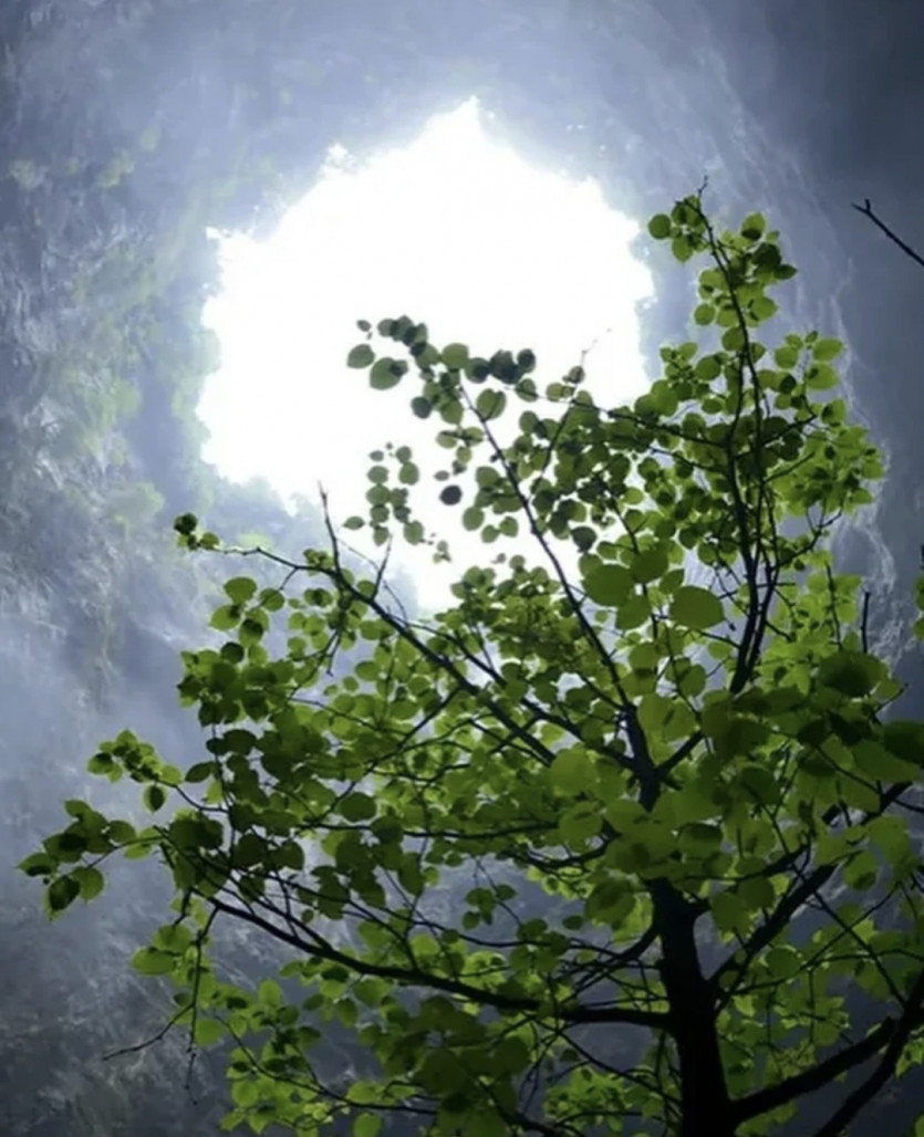 버닝이 갔네요 ㅎ