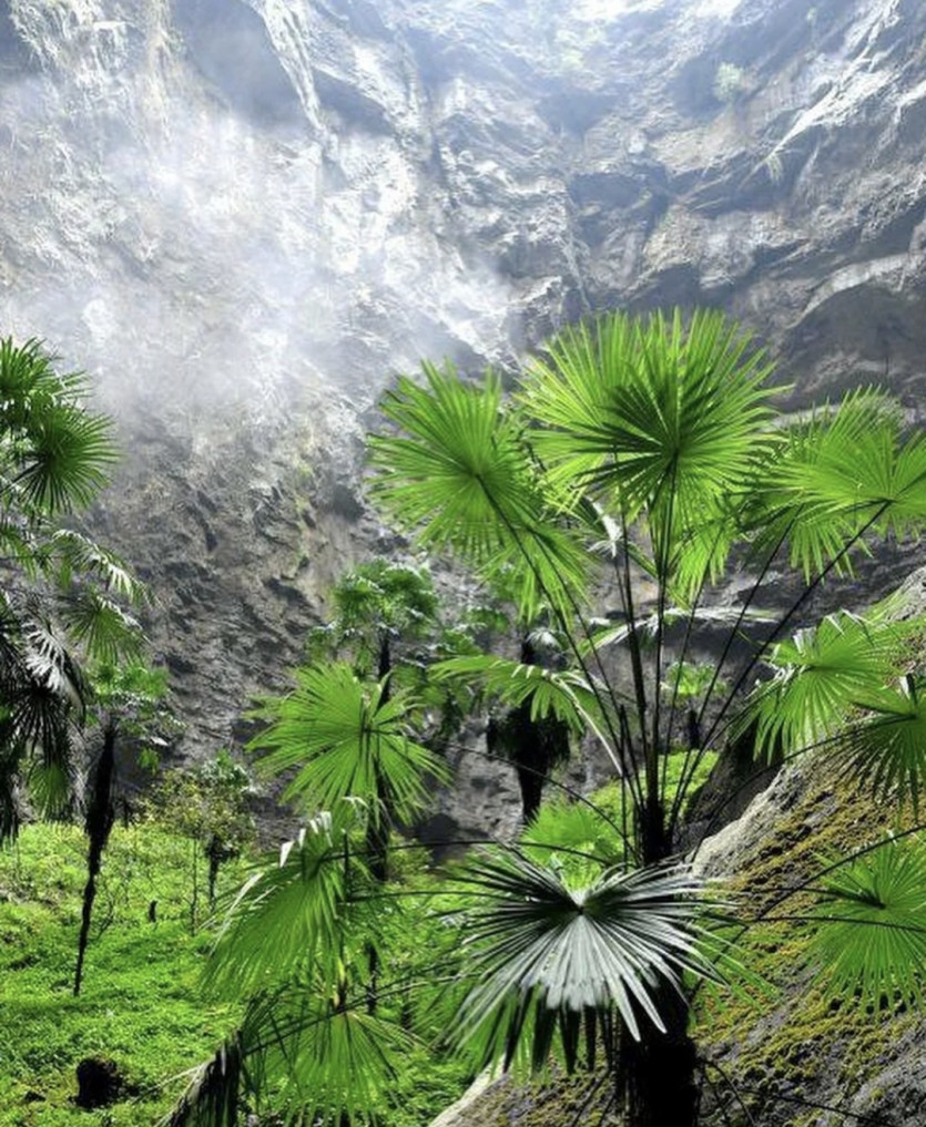 저녁식사 맛있게 드세요 ㅎ