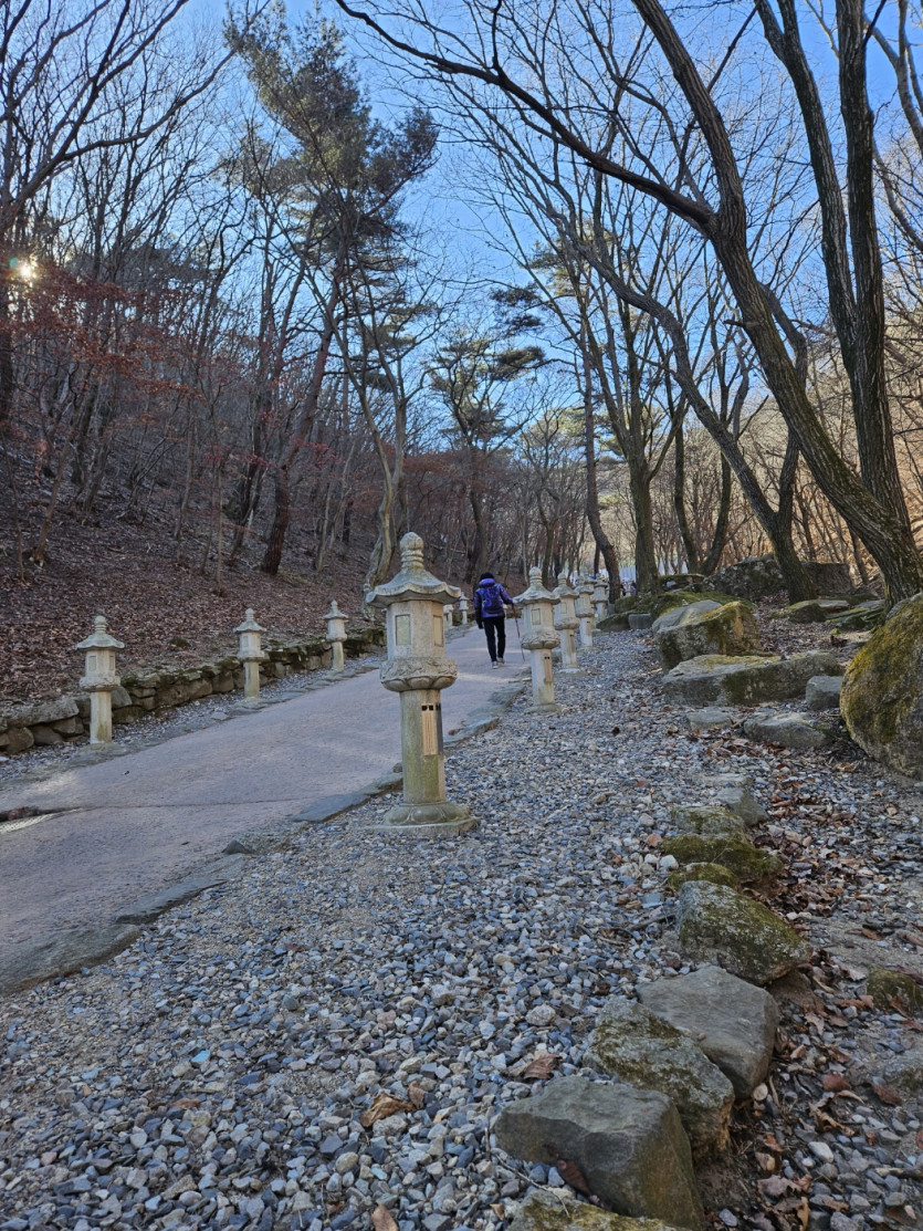 올 만에 산행이라요