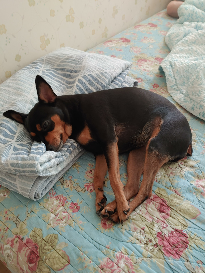 커피 한잔 합니다 ㅎ