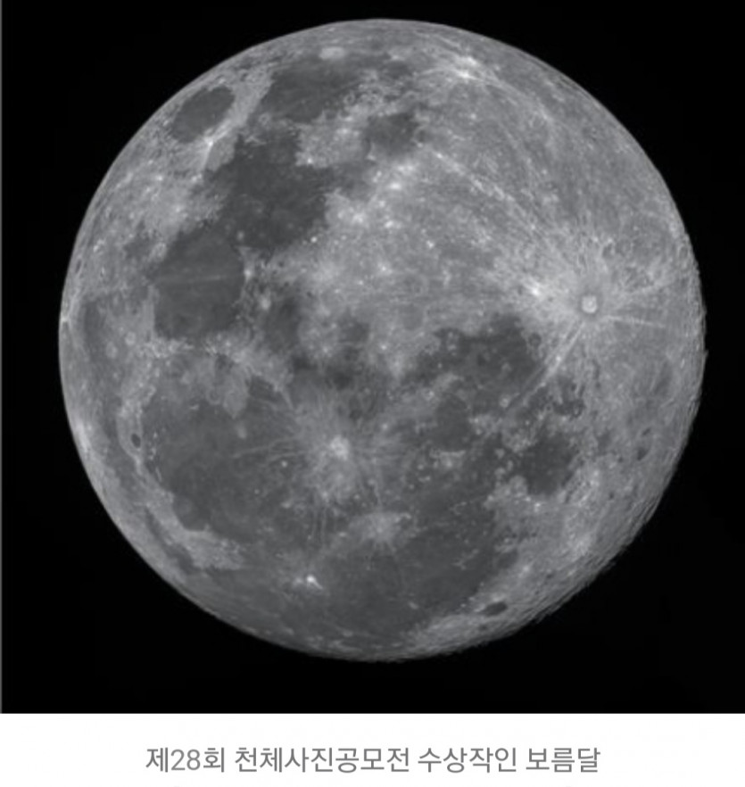 Moon님 어디 가셨죠!