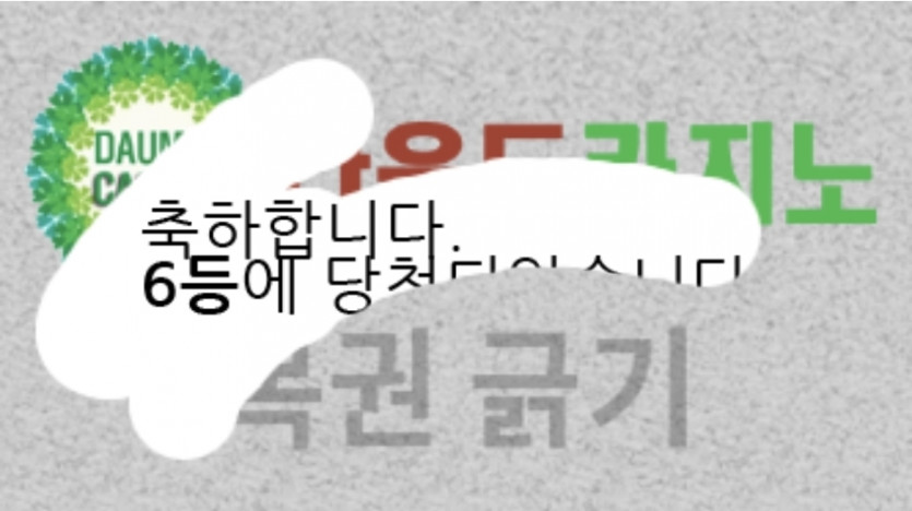 6보기스