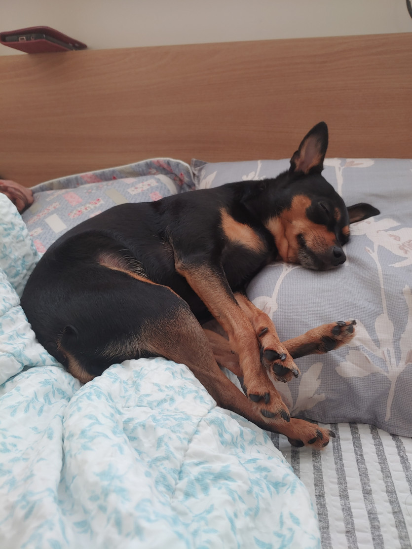 출첵 대기 합니다 ㅎ