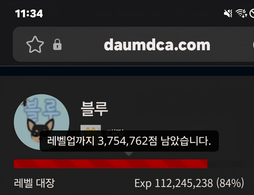 예비역 진급 디데이 19일