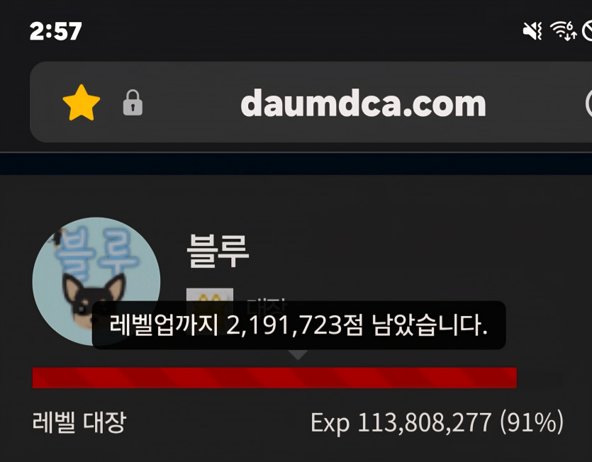 예비역 진급 디데이 11일