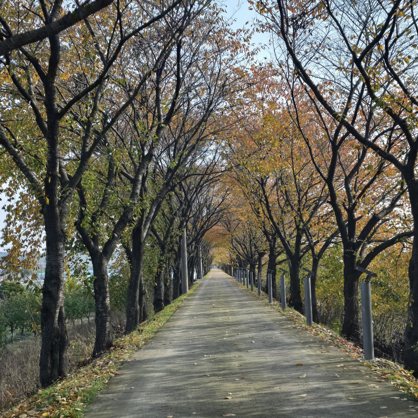 아이고 버닝이네
