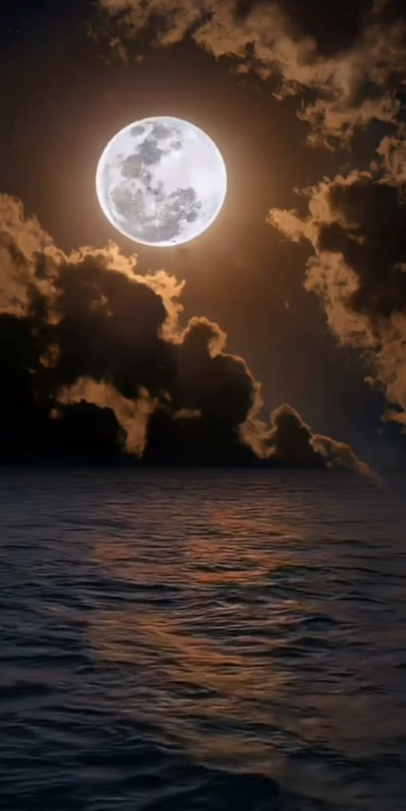 달이 아주 밝네요 ㅎ