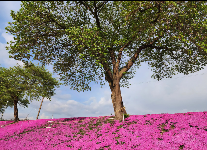 저녁식사 맛있게 드세요 ㅎ