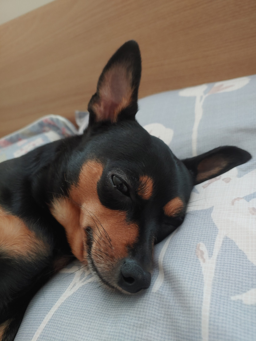 버닝이 갔네요 ㅋ