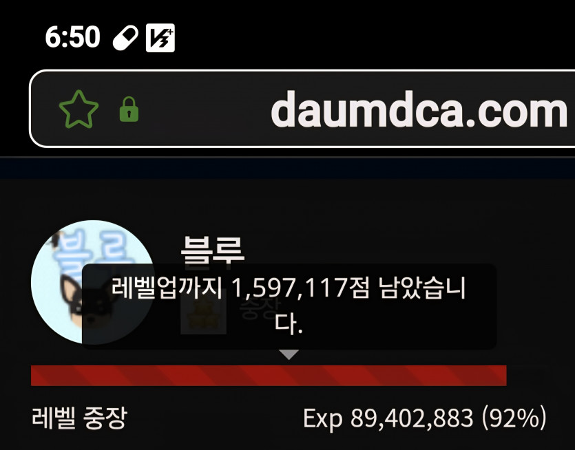 대장 진급 디데이 8일 ㅎ