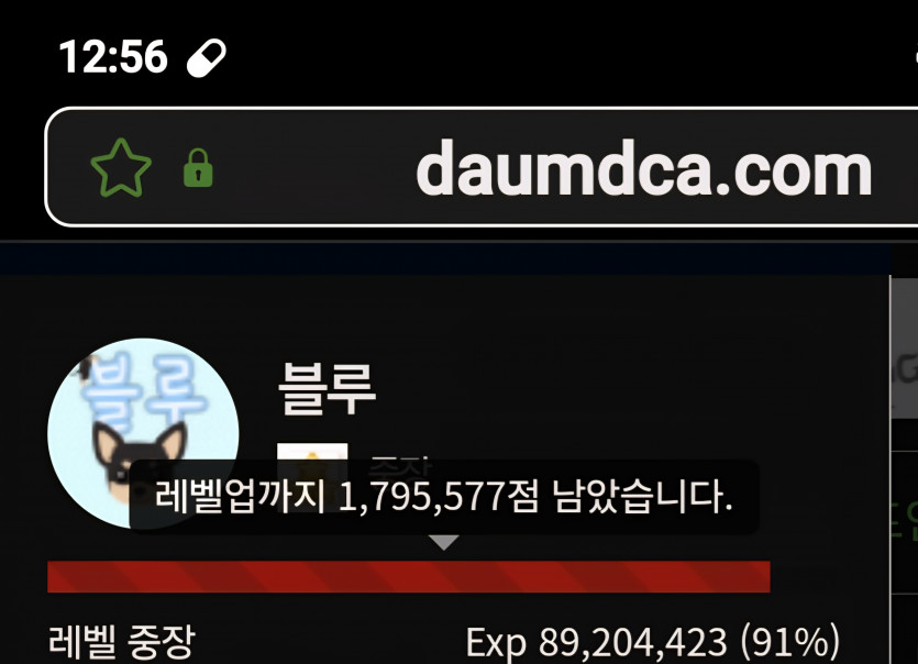 대장 진급 디데이 9일