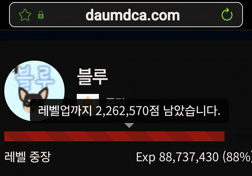 11일 코스로 대장 가 보겠습니다 ㅎ