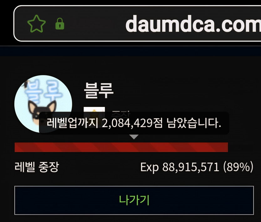 대장 진급 디테이 11일 ㅎ