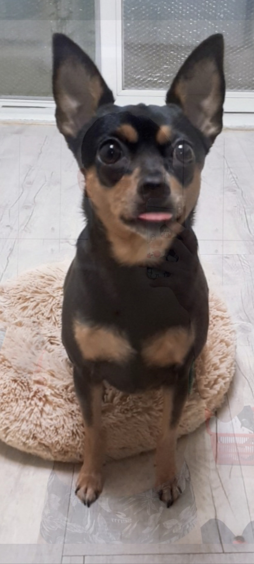 콩 이라고 해요,,,ㅎ