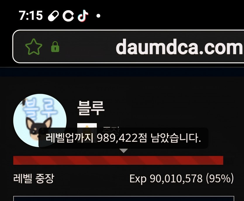 대장진급 디데이 5일 ㅎ