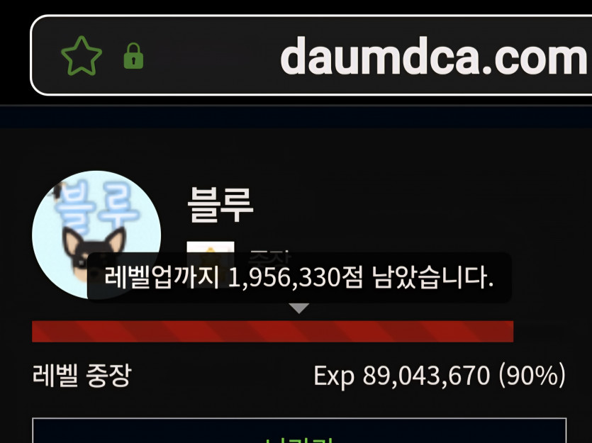 대장 진급 디데이 10일 ㅎ