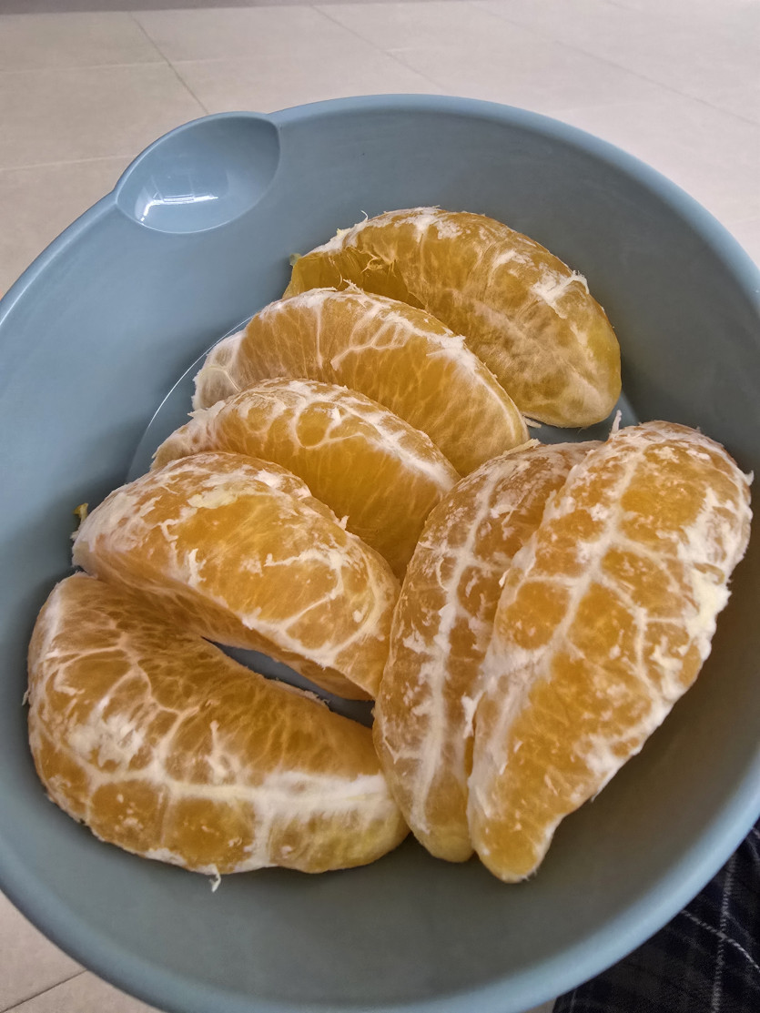 후시기 고고고고굑