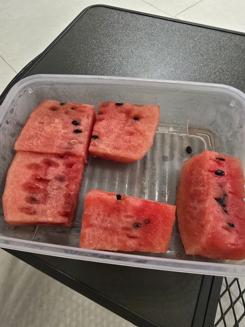 후식이 가즈아