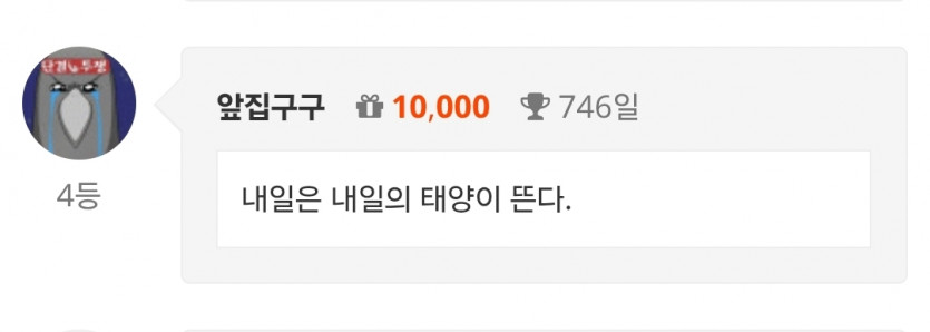 나이사사사사사