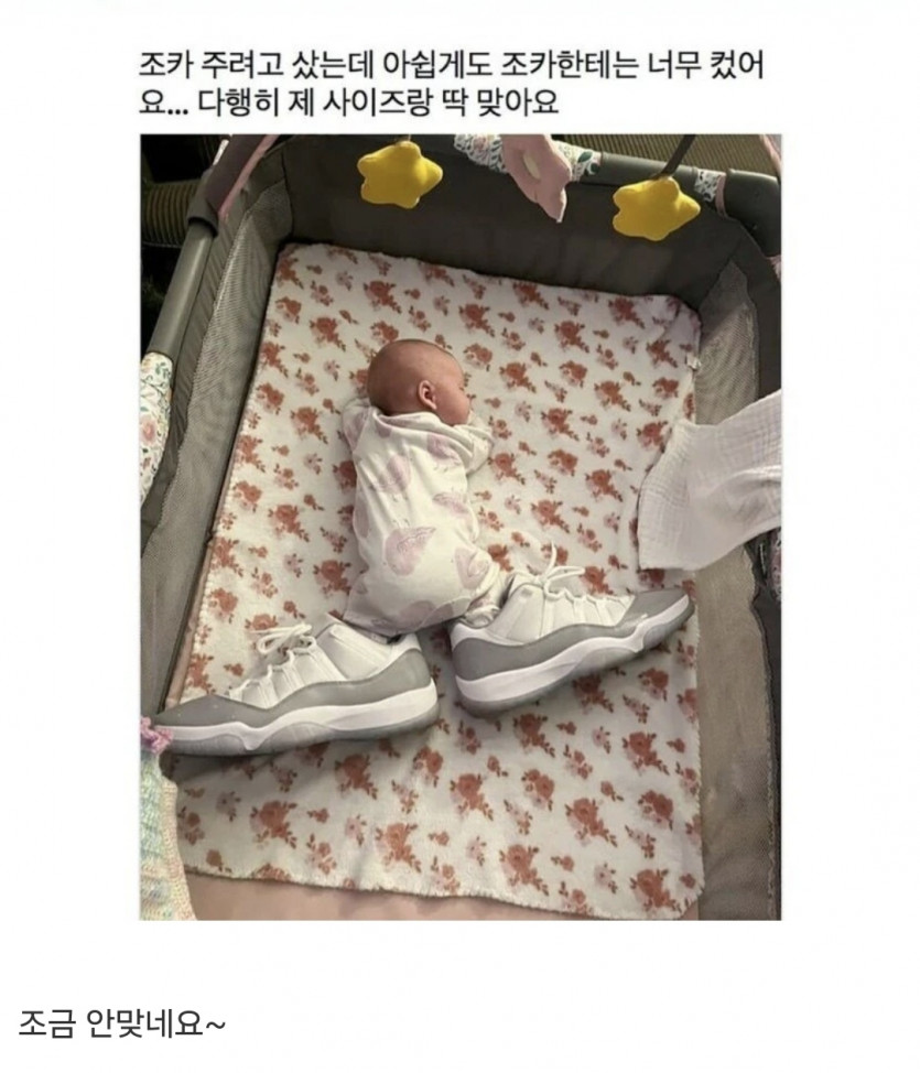 조카 신발 사줬는데