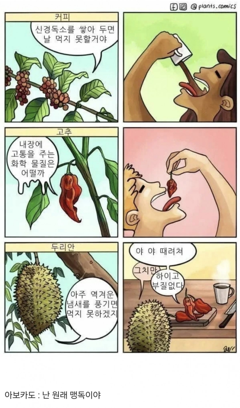 먹히지 읺으려던 식물들