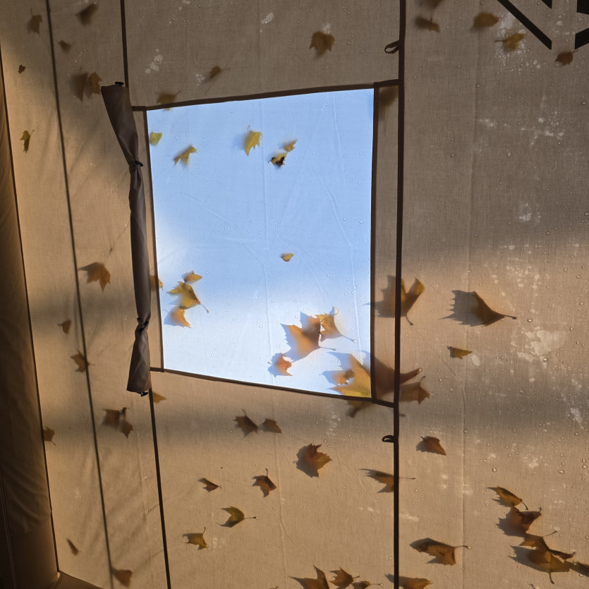 밤새 비가 오더니..