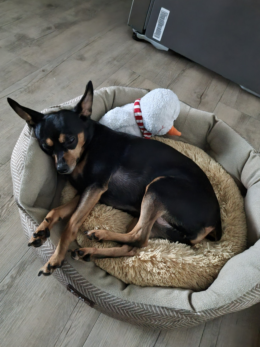 출첵 대기 합니다 ㅎ