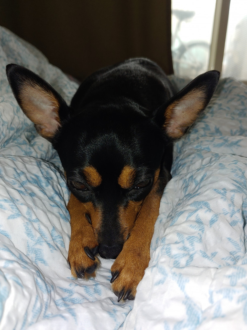 숙제 가주아 ㅎ