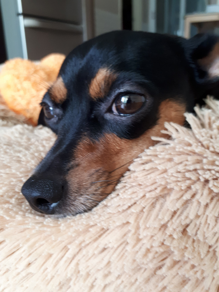 리피리 갑니다 ㅎ