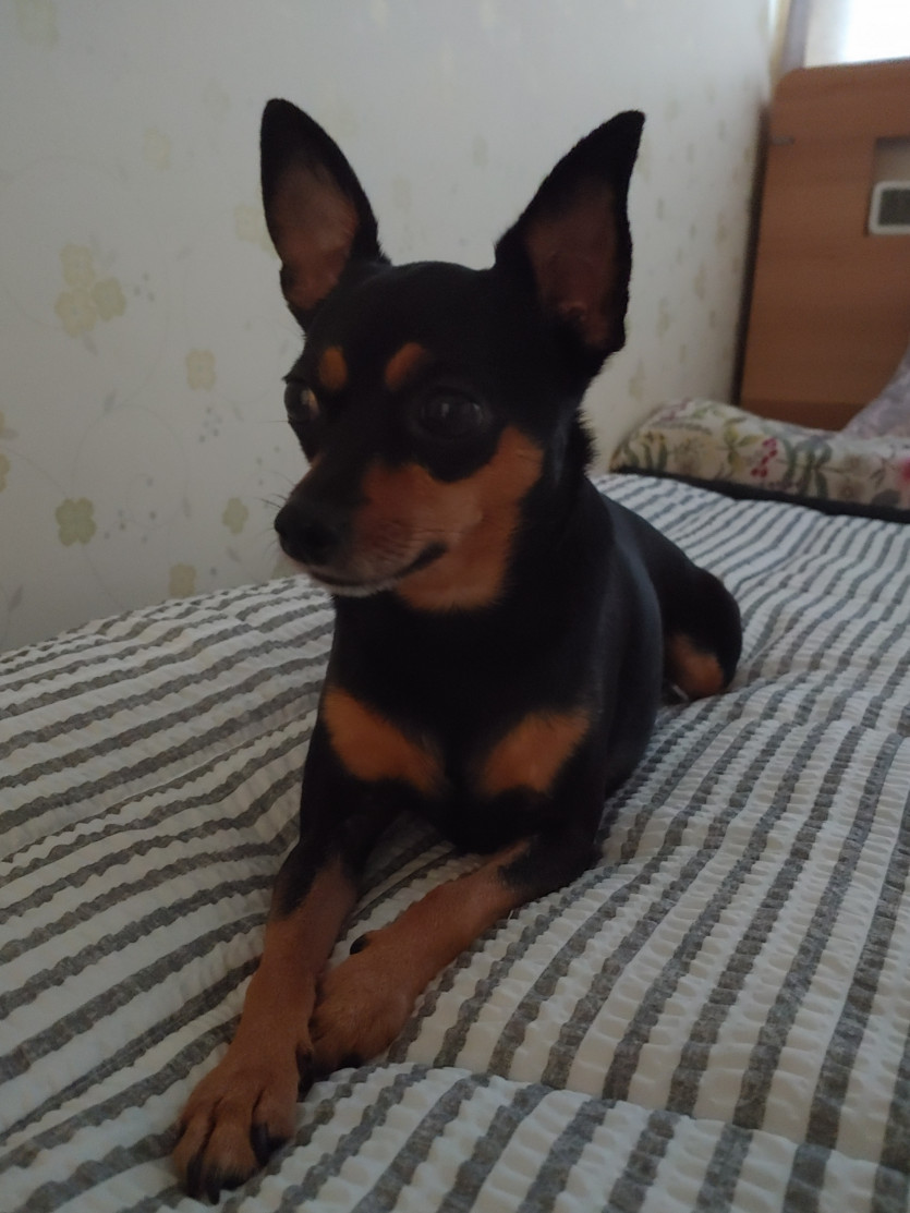 저녁반 화이팅 ㅎ