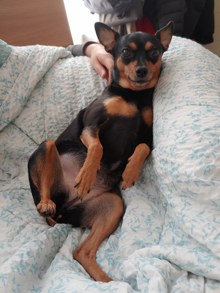 나이스 버닝이 씩씩하게 가주아 ㅎ