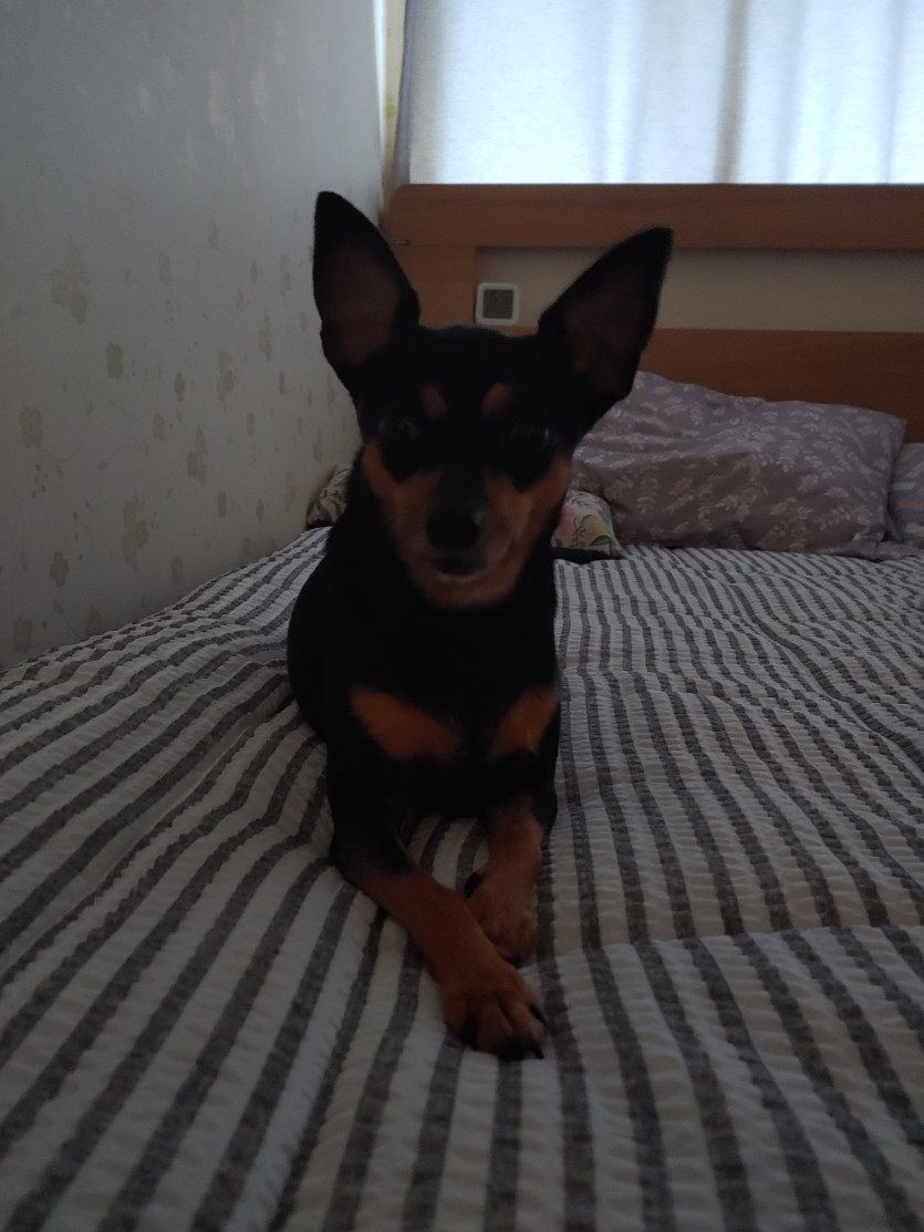 버닝이 막바지,,,,