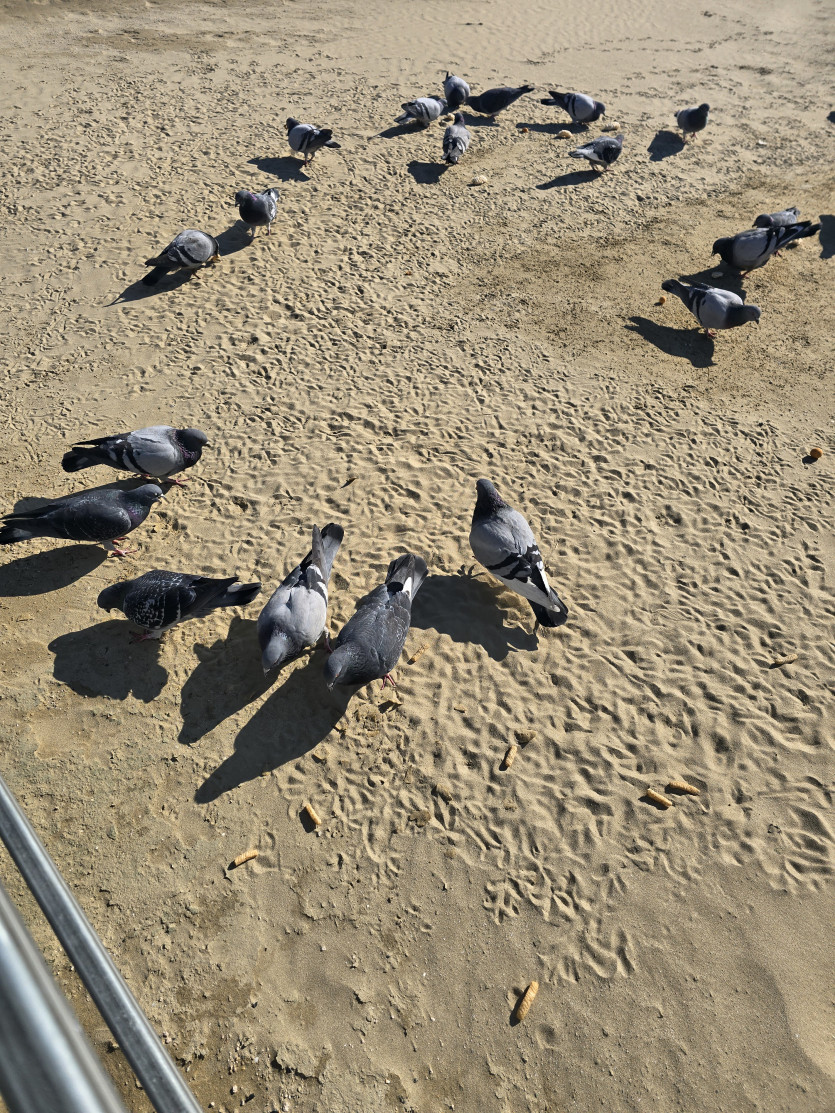 오랜만에 친구들 만남