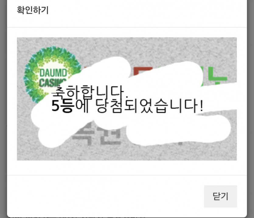 일/5555