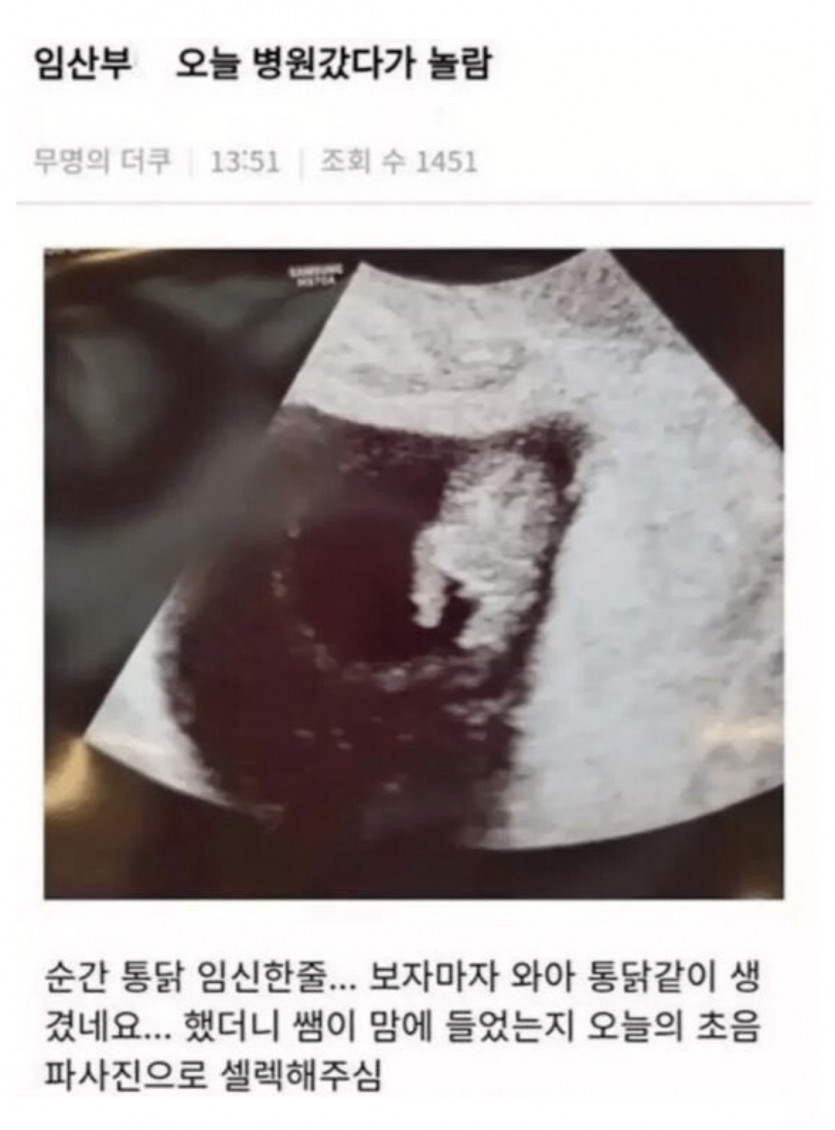 통닭을 임신함....ㅋㅋ