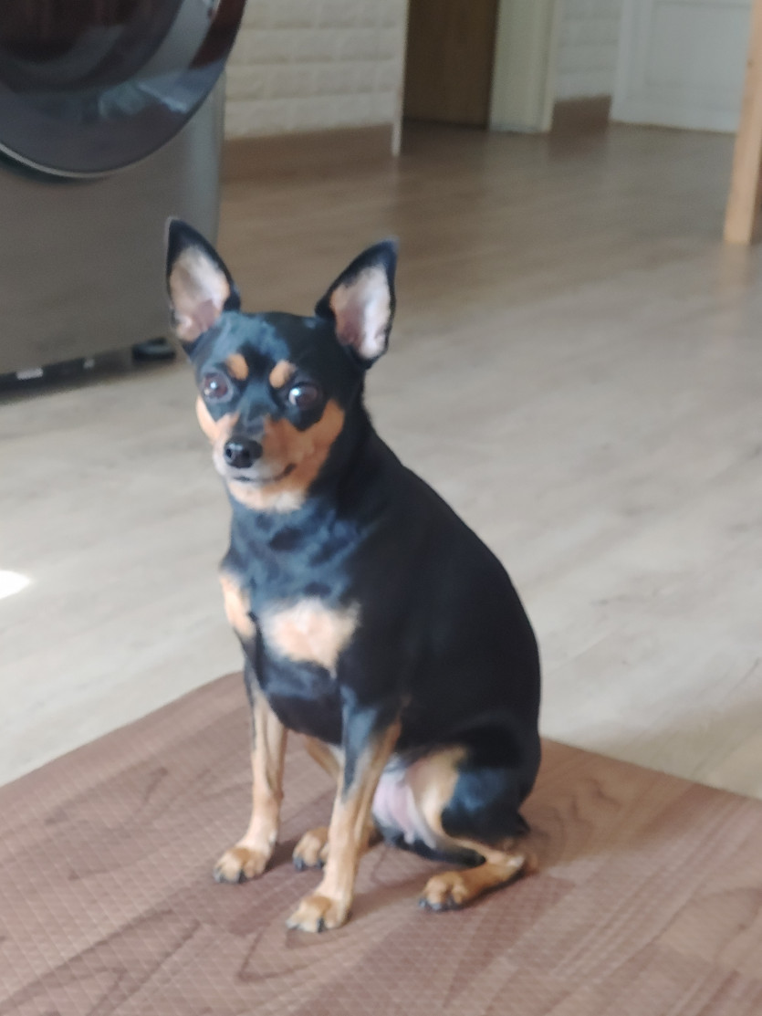 오이시님 프샤 부탁드립니다 ^^