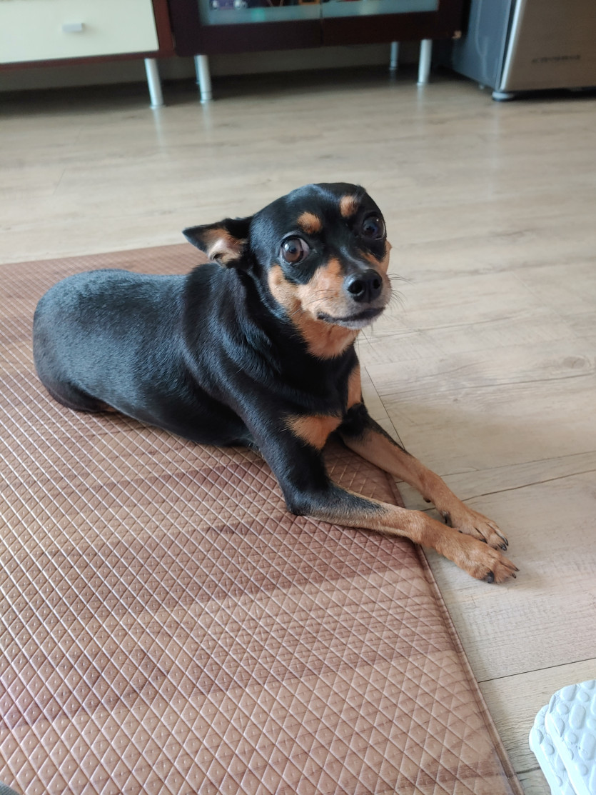 시판이 막 괴롭히세요,,,,,