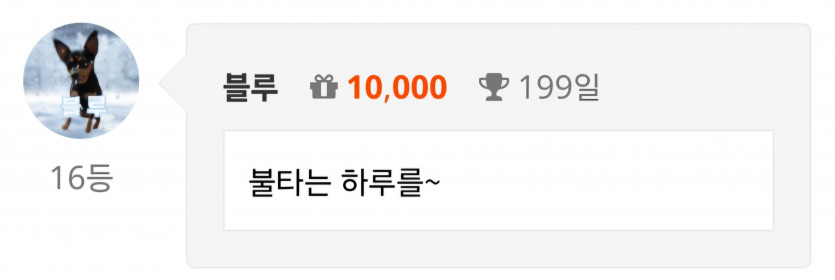 200일 전야 ㅎ