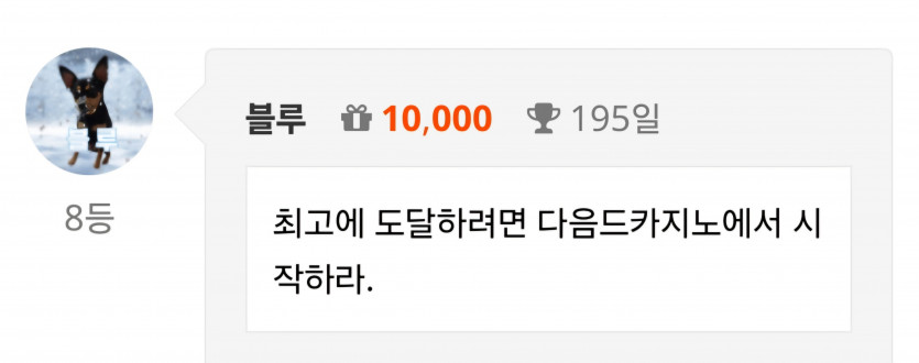 5일 더 출첵 하면 200일 ㅎ