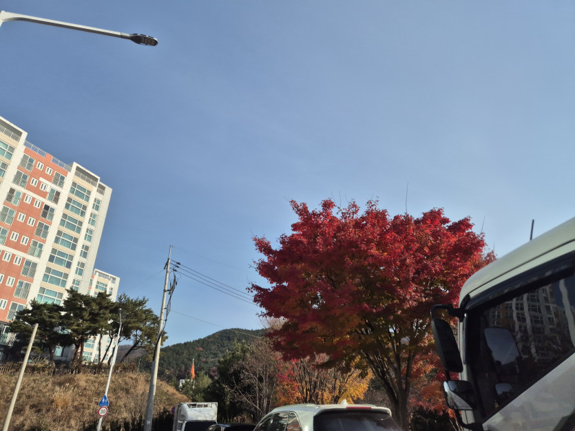 날씨 너무 좋네요
