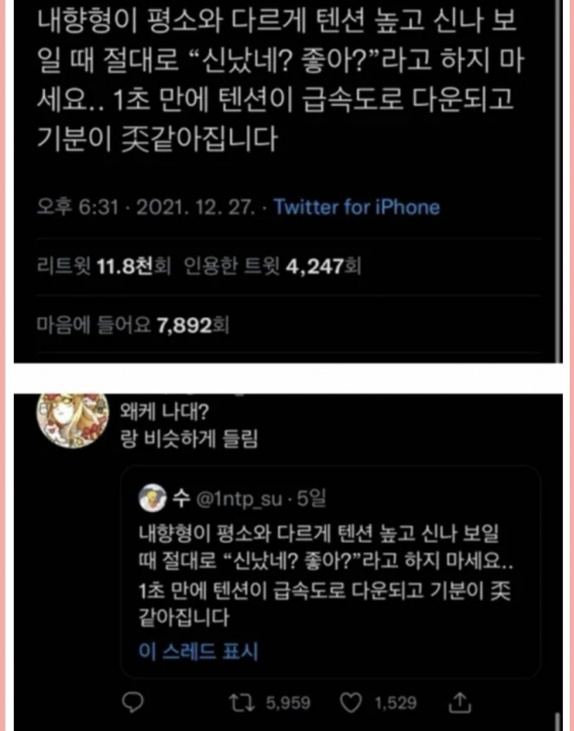 내향인 사용법