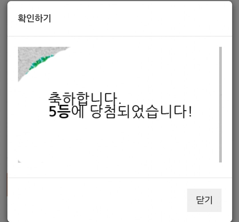 일뽀기 55555555