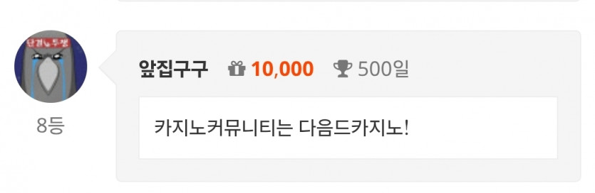 그러고 버니 500일 개근