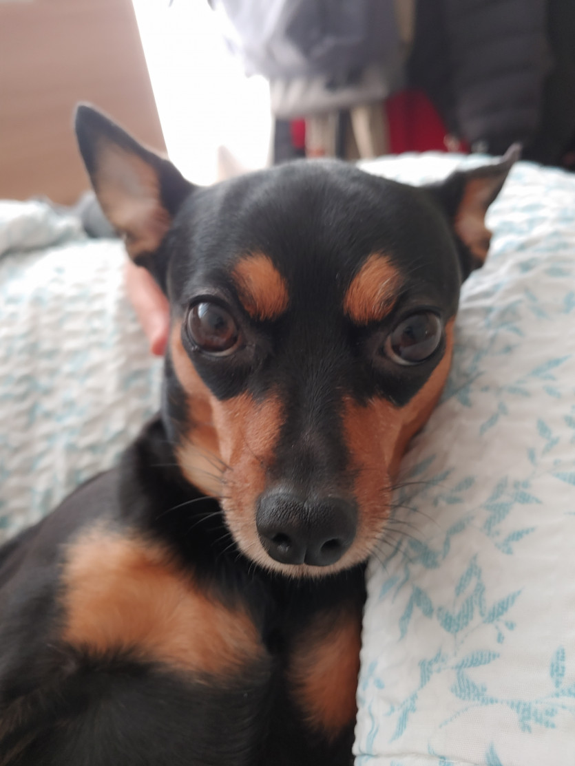 출첵 대기 대기 ㅎ