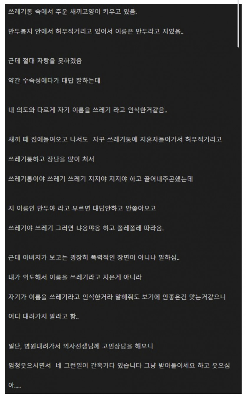 고양이 이름이 쓰레기?!